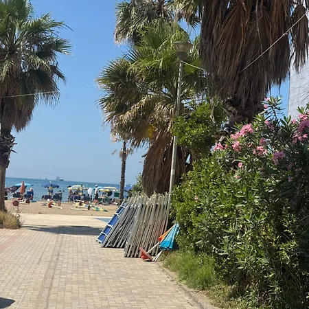 Relax Near The